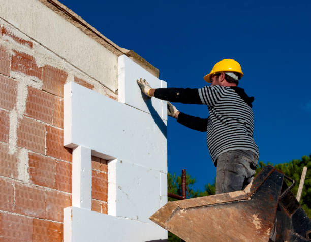Best Insulation Maintenance and Repair in Wellington, TX