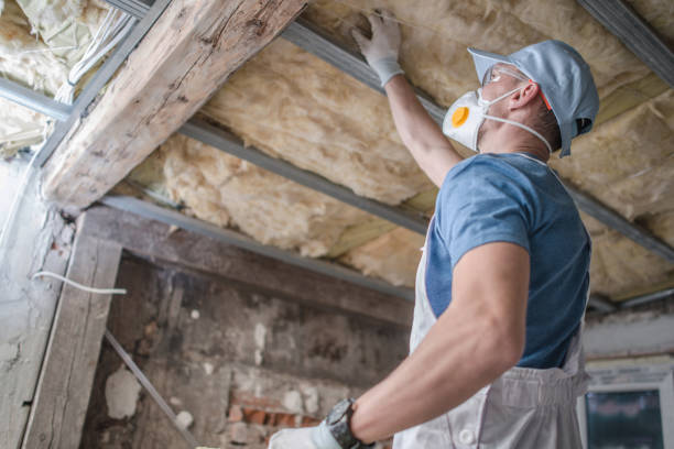 Best Residential Insulation in Wellington, TX