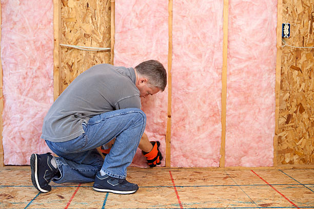 Best Specialty Insulation in Wellington, TX