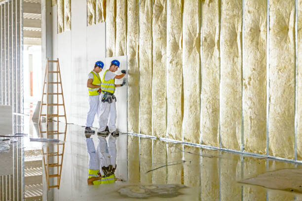 Best Insulation Maintenance and Repair in Wellington, TX